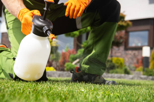 Best Affordable Pest Control Services  in Walnut Hill, TN