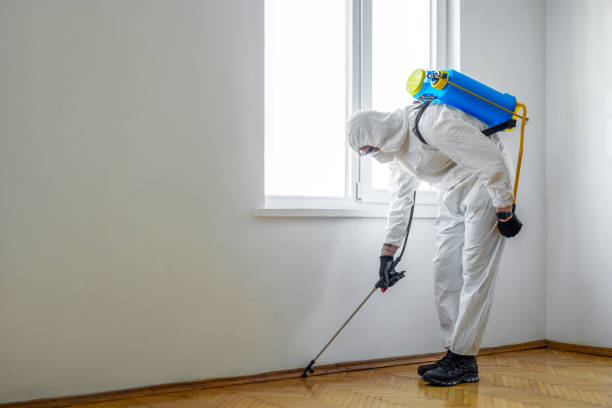 Pest Control Cost in Walnut Hill, TN